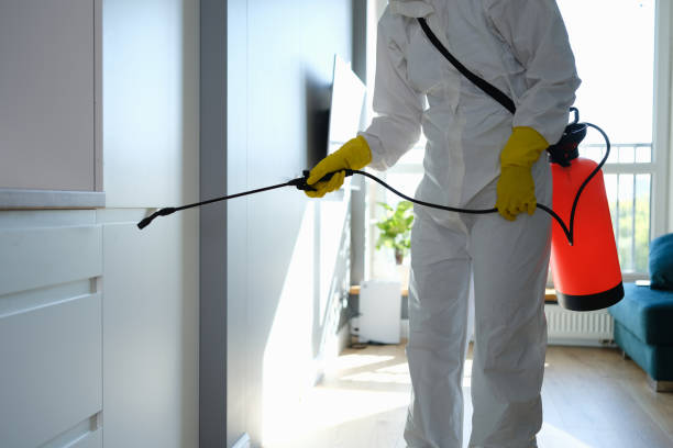 Crawl Space Mold Removal in Wynnewood, OK