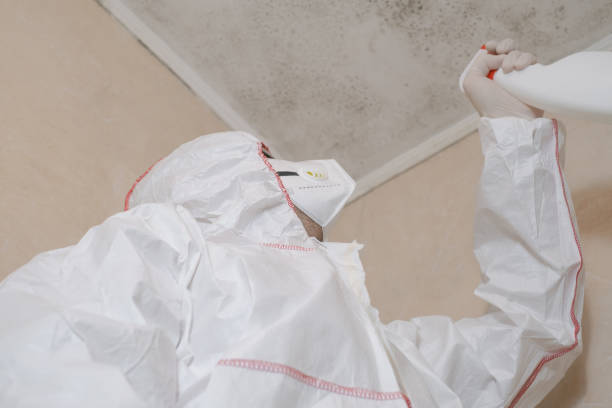 Best Mold Testing  in Wynnewood, OK