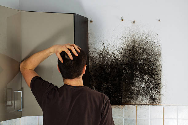 Best Residential Mold Removal  in Wynnewood, OK